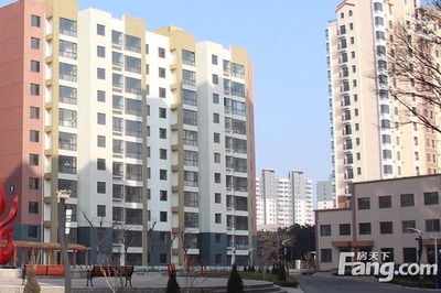 海立方購房指南 人氣房產經紀人全解析